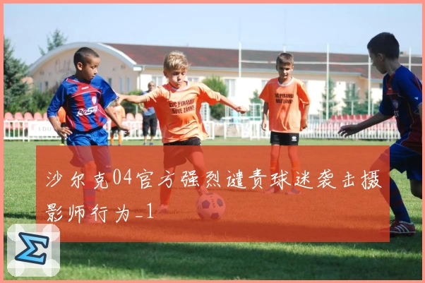 沙尔克04官方强烈谴责球迷袭击摄影师行为_1