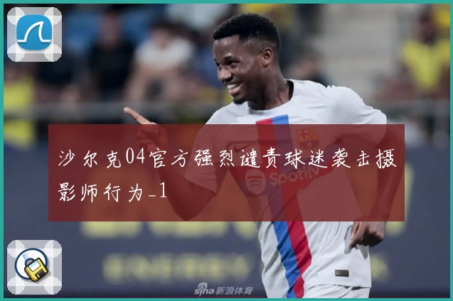 沙尔克04官方强烈谴责球迷袭击摄影师行为_1